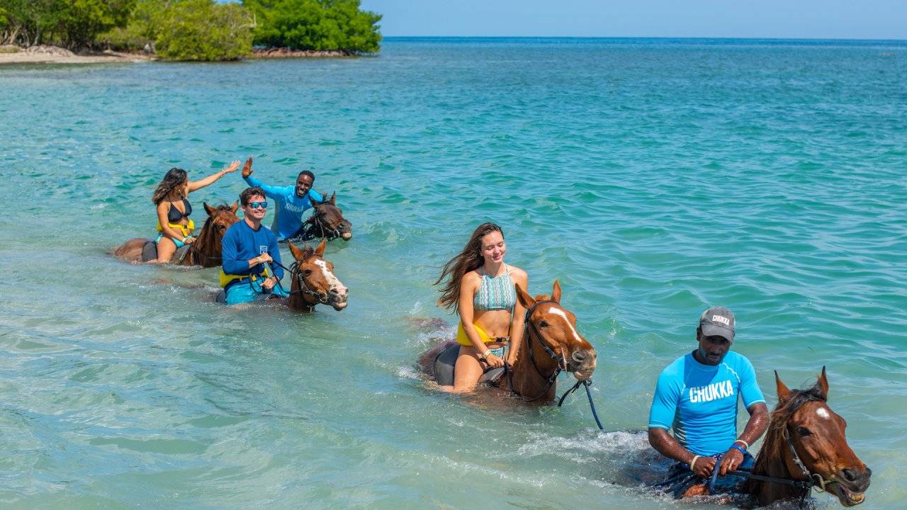 Ocean Single Zipline / Horseback / Snorkel from USD 109